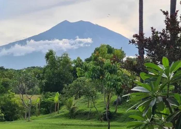 Palm Springs Bali Dive Resorts