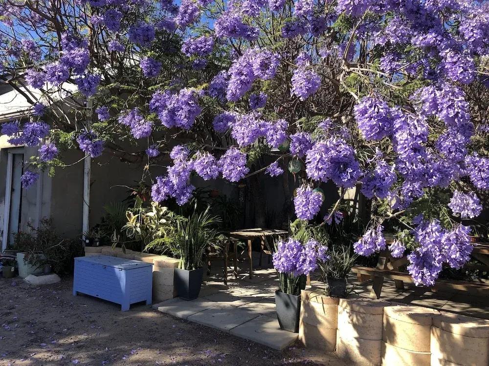 фото Geraldton Backpackers