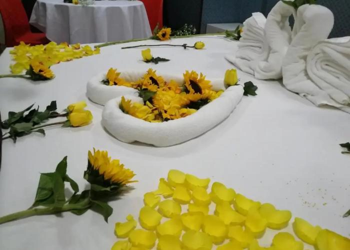 Hotel Plaza Muisca