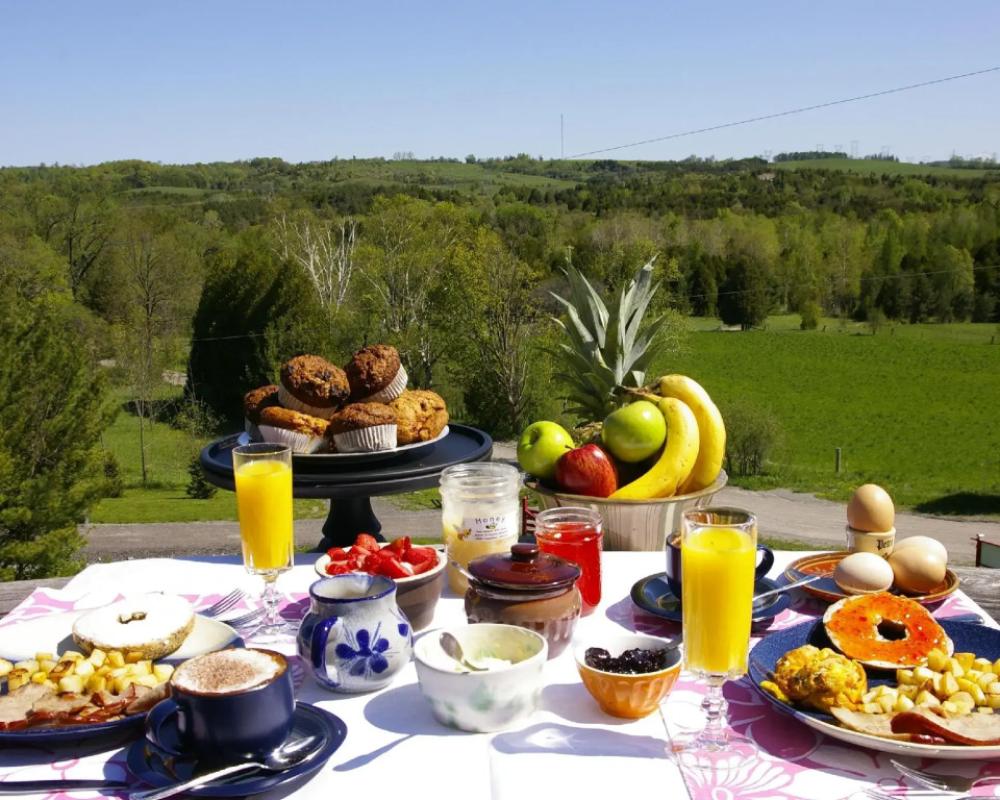 Our Valley View Bed & Breakfast