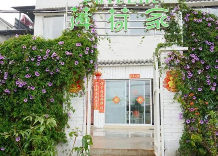 Pure Life Hostel