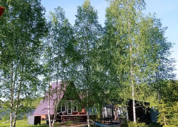 Hide Forest Private House