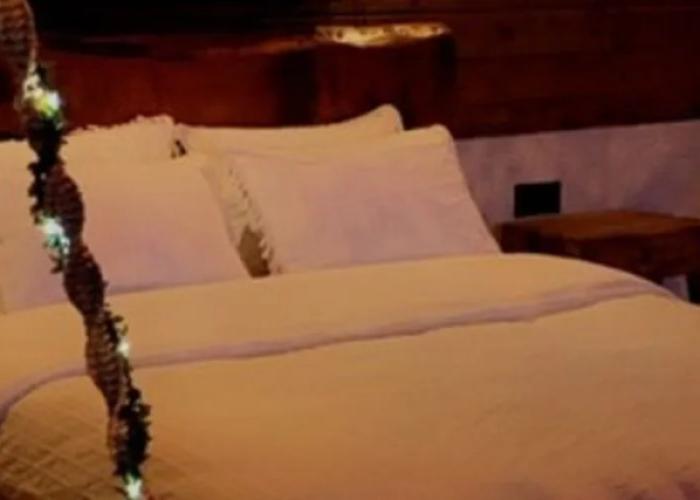 Lavinya Suit Bungalov