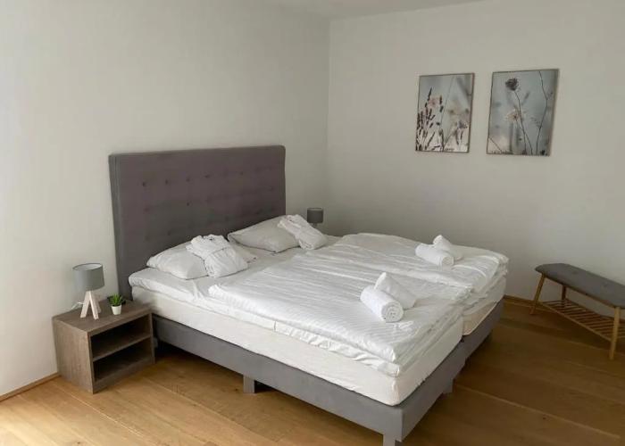 Residence Bellevue by Alpin Rentals - incl Summercard