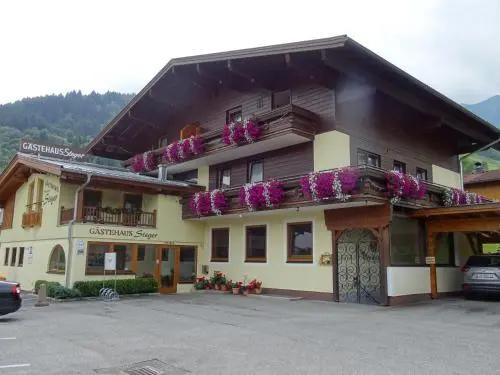 Hotel Steger