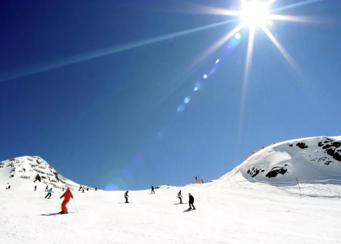 Apartment With Zillertal Alps Views