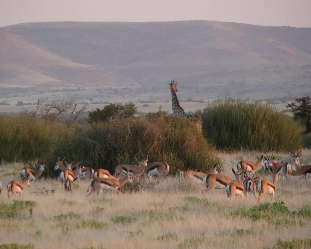 фото Grootberg Lodge