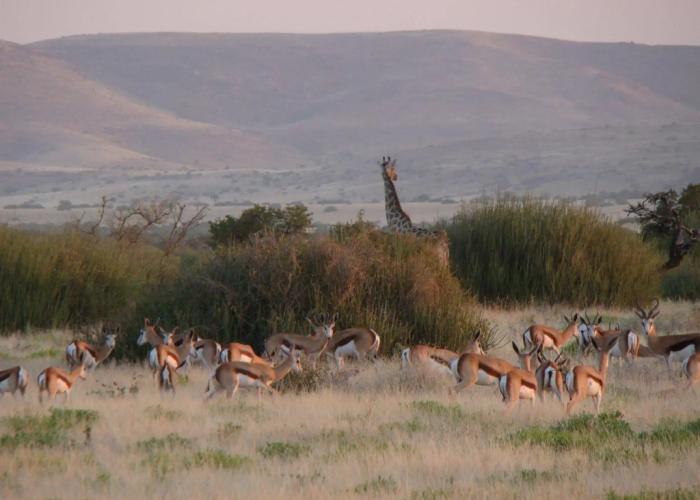 Grootberg Lodge