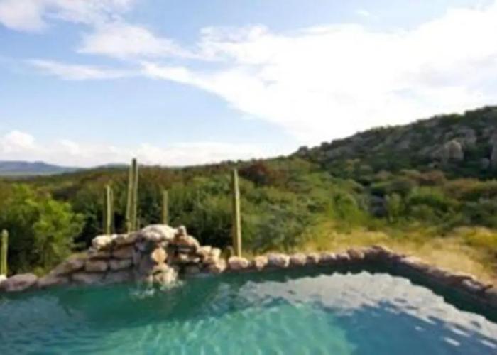 Sasa Safari Camp