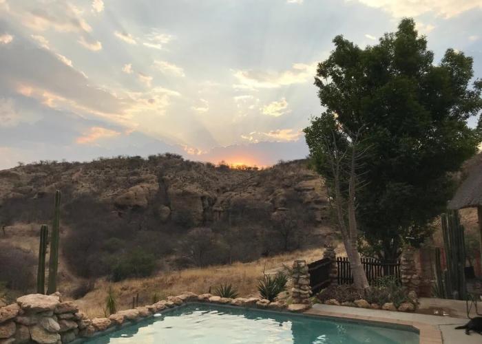 Sasa Safari Camp