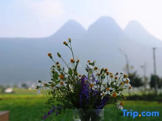 Xingyi WanfengLin jielu Homestay