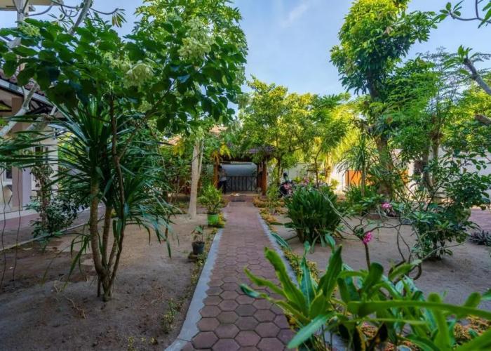 Whiterose Guesthouse