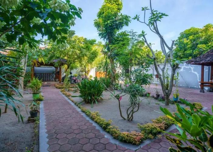 Whiterose Guesthouse