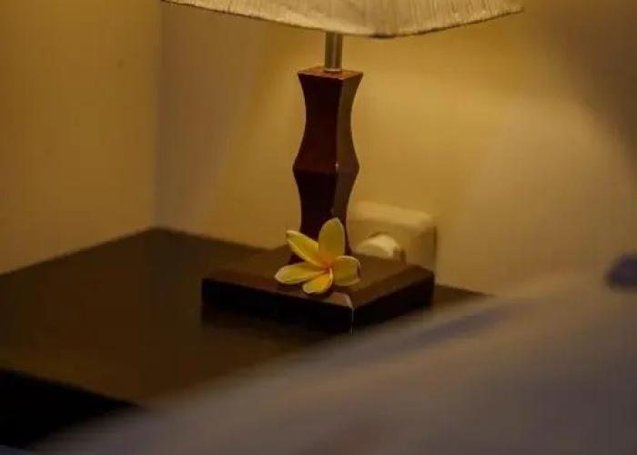 Whiterose Guesthouse