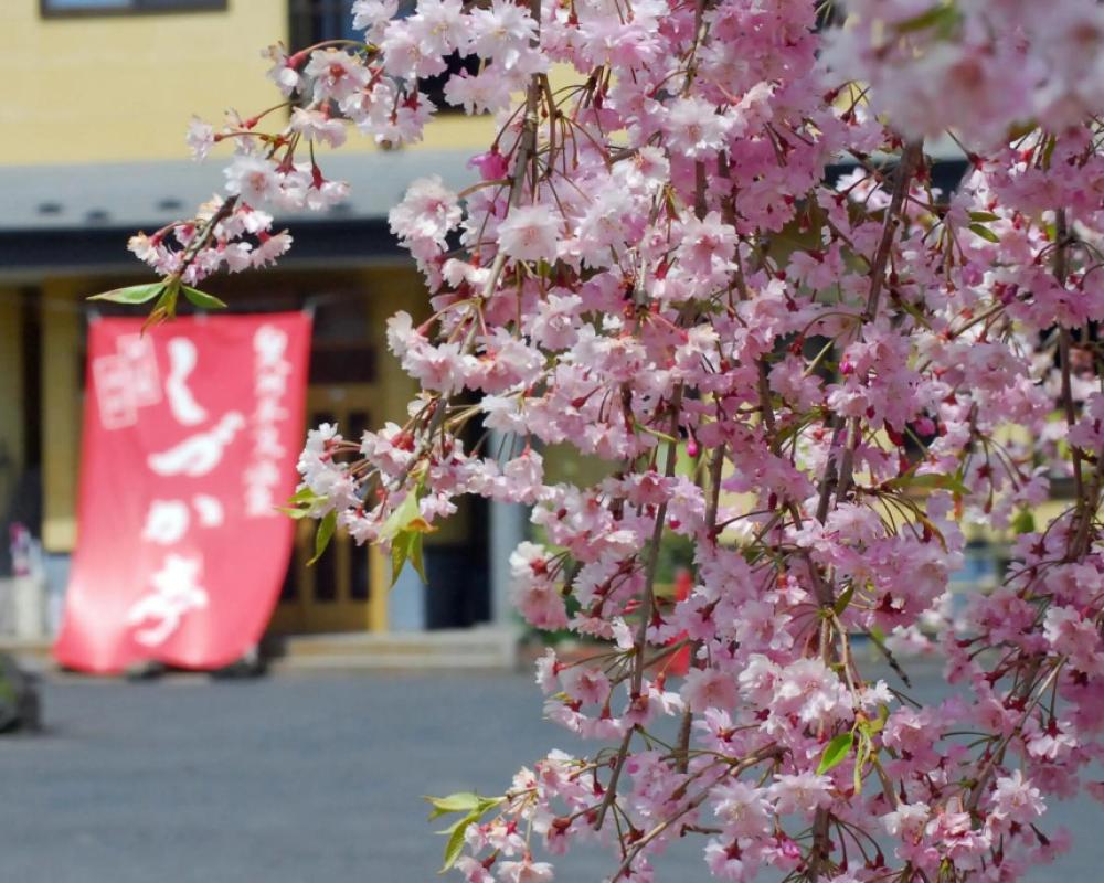 Hiraizumi Hot Spring Ryokan Soba'an Shizukatei