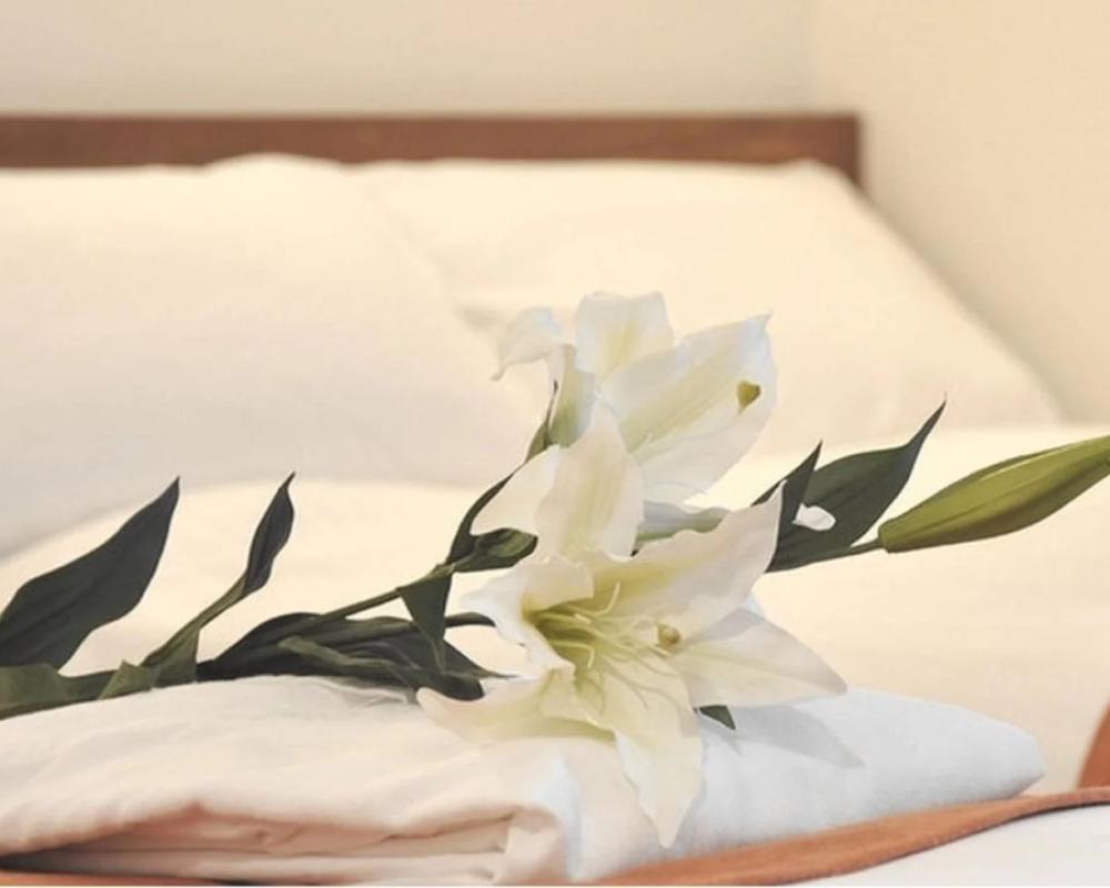 фото Hotel Noah