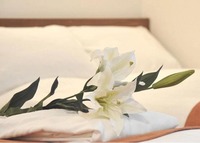Hotel Noah