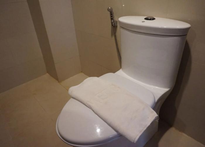Pakse Mekong Hotel