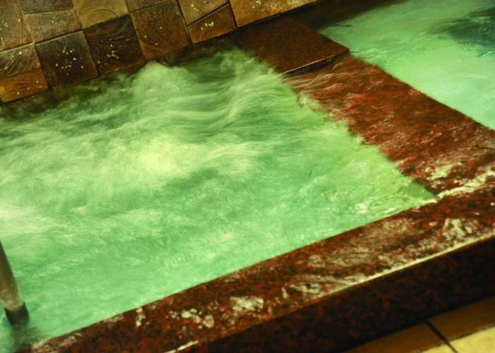 Yamaga Onsen Fuji Hotel