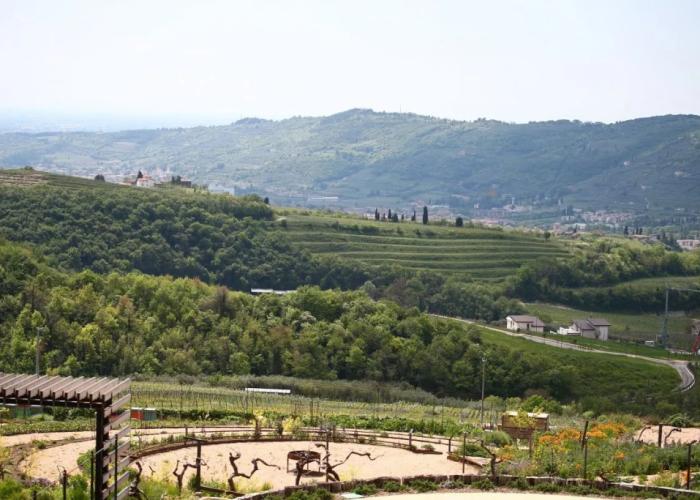 Villa Balis Crema