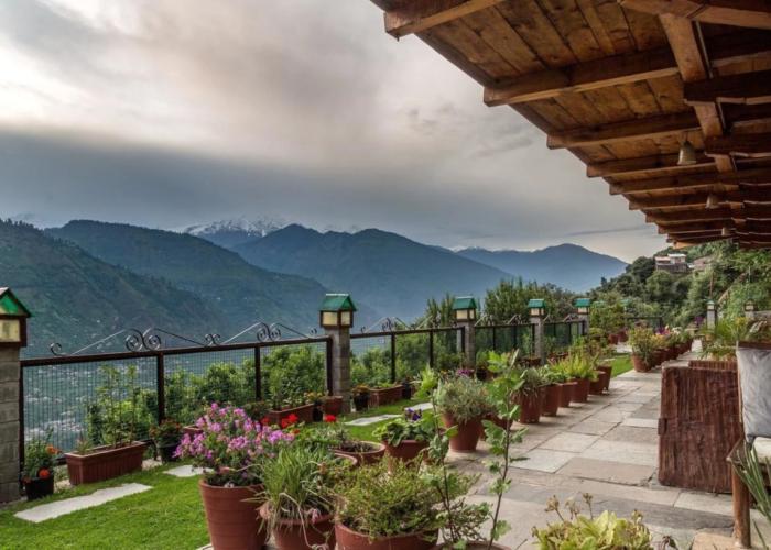 Himalayan Kothi Kais
