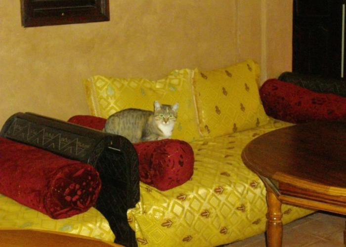 Kasbah Zitoune