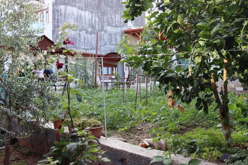 фото Oz Butik Otel Antik Kent Myrleia