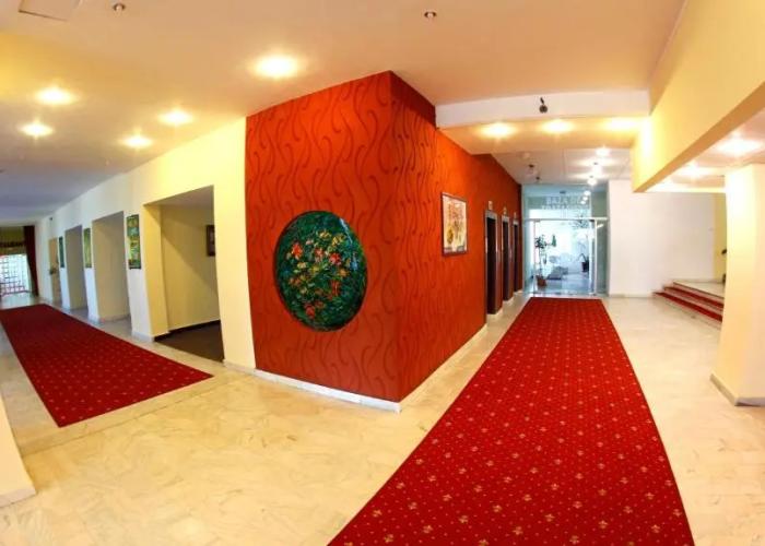 Hotel Montana - Covasna