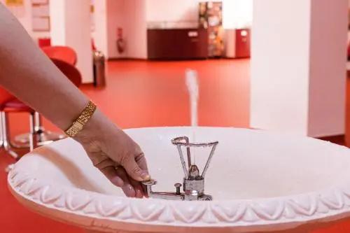 Hotel Cerbul