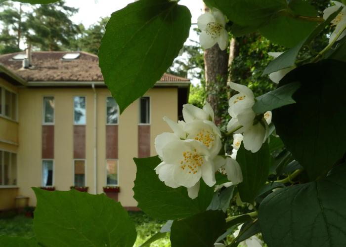 Na Koroleva Guest house
