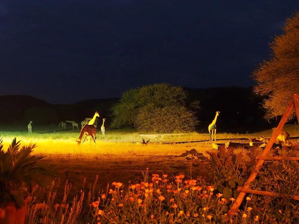 фото Gabus Game Ranch