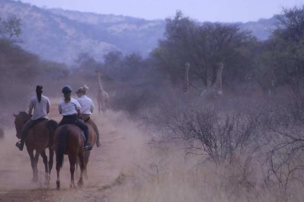 фото Gabus Game Ranch