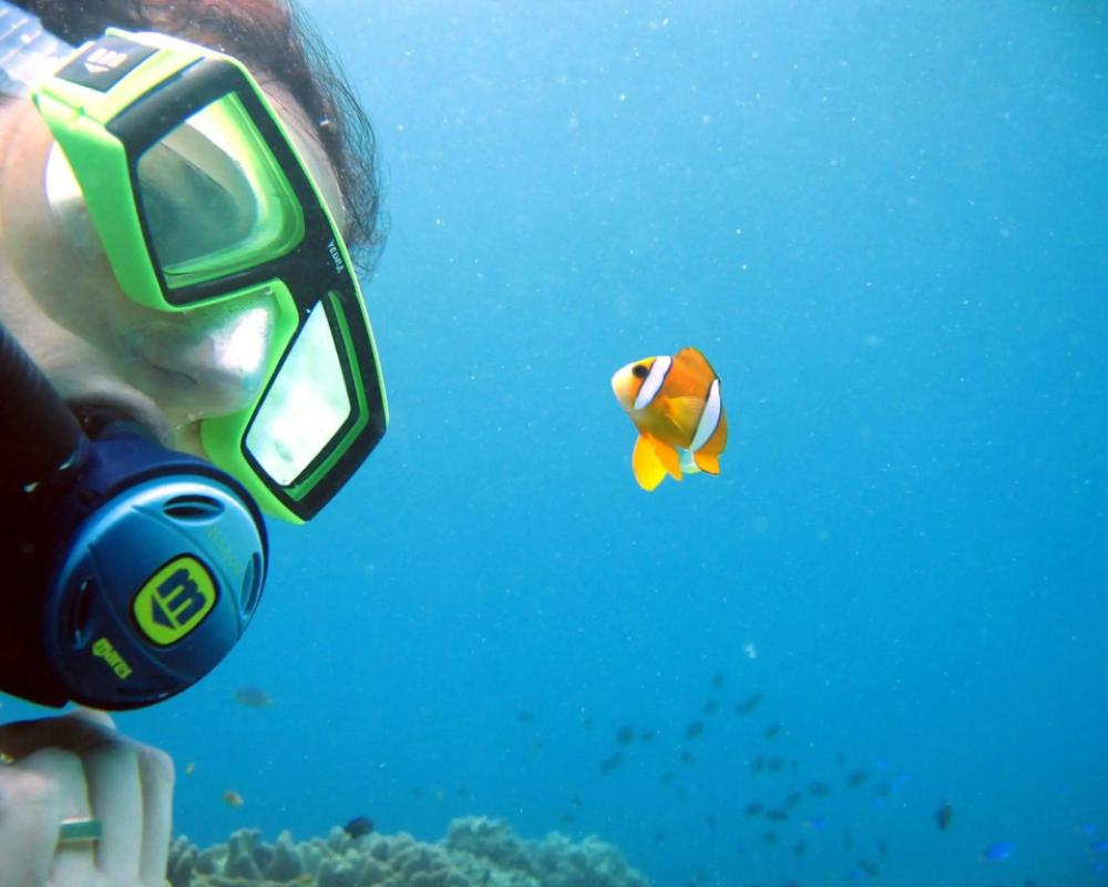 фото Blue Star Dive & Resort