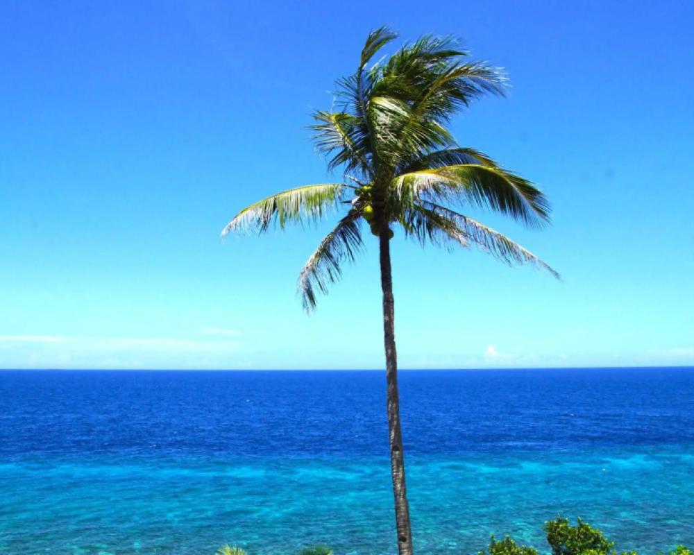 фото Blue Star Dive & Resort