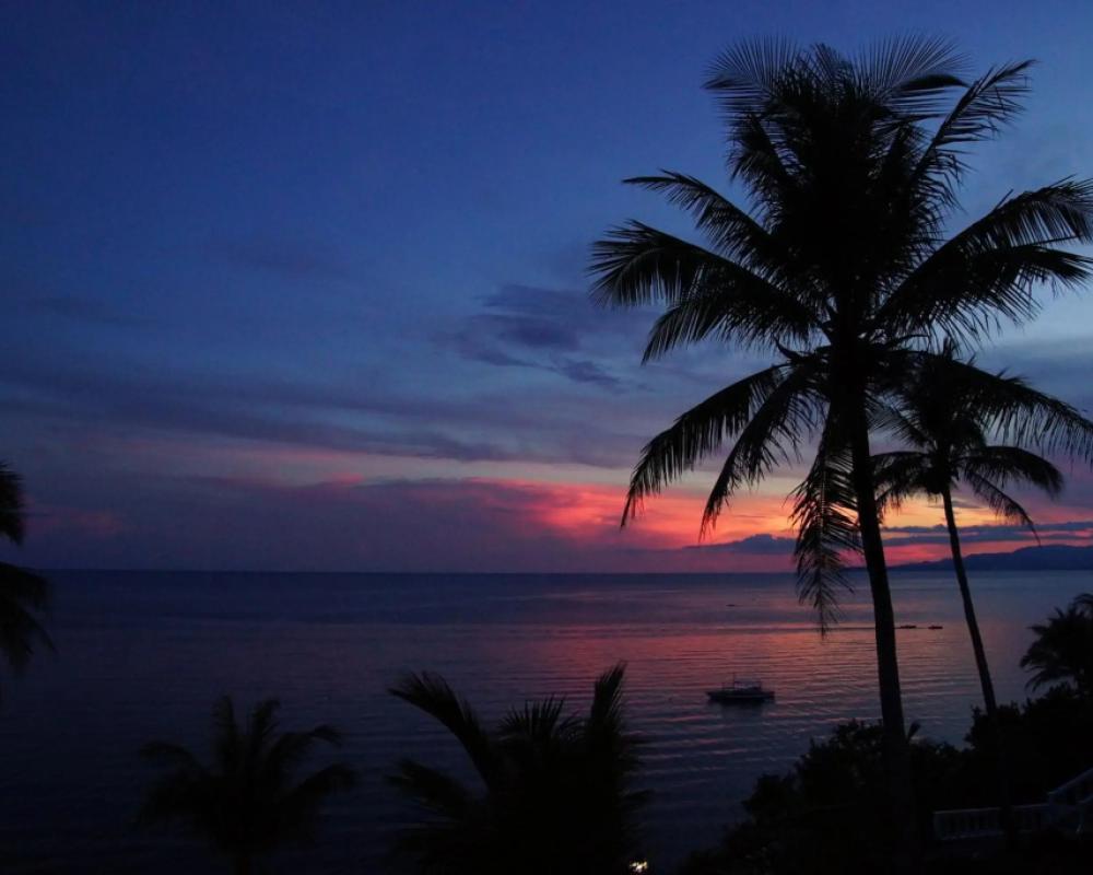фото Blue Star Dive & Resort