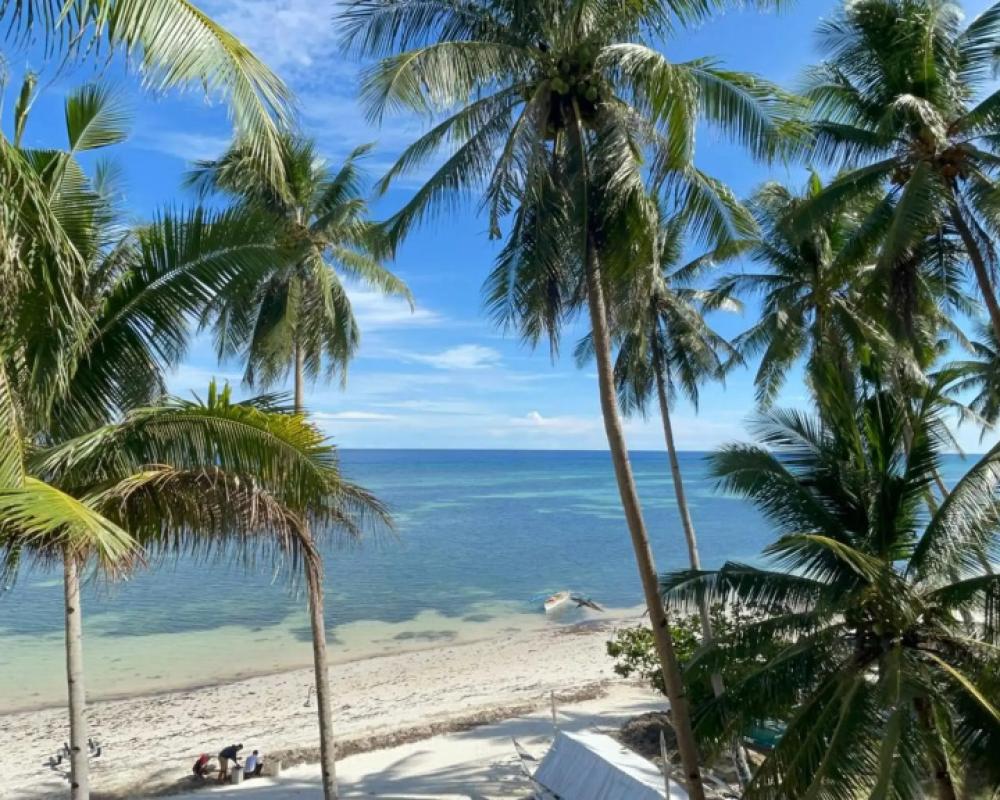 фото Anda White Beach Resort