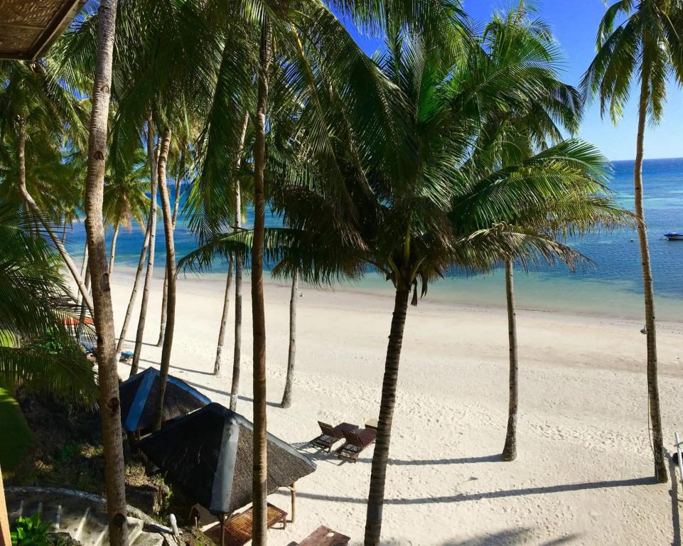 фото Anda White Beach Resort