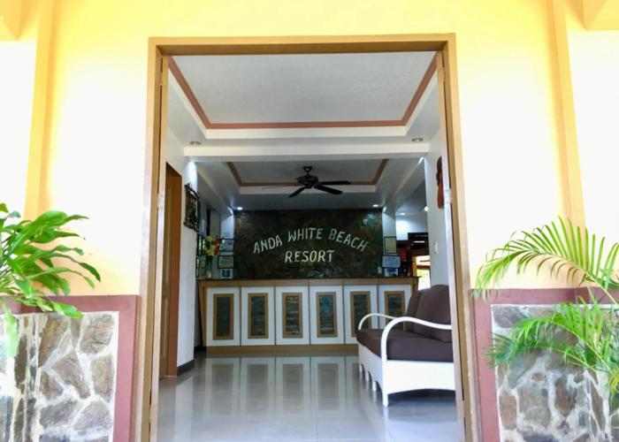 Anda White Beach Resort