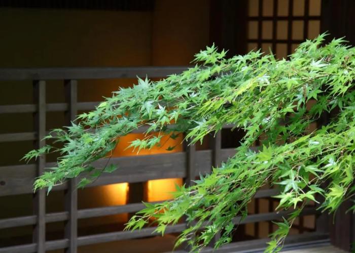 Kurokawa Onsen Yumerindo