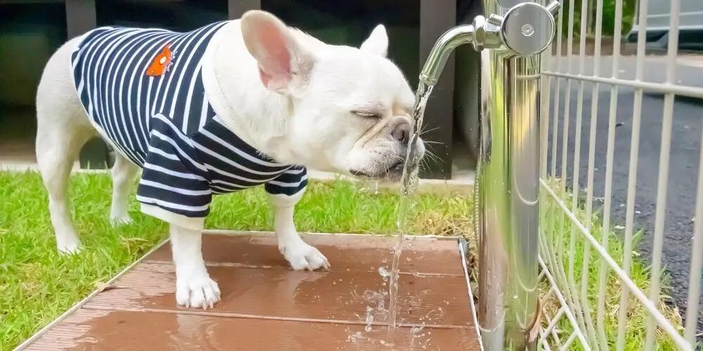 фото Rakuten STAY VILLA Aso Kurokawa