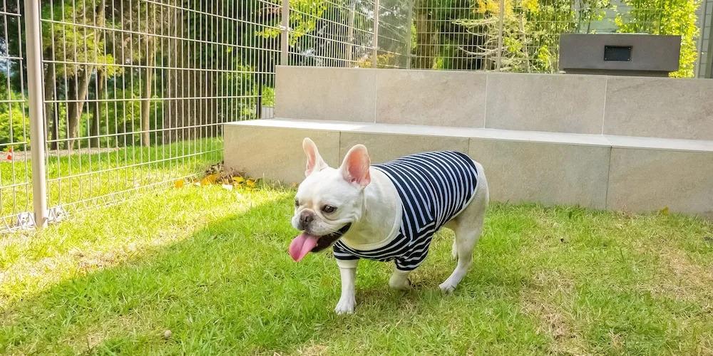 фото Rakuten STAY VILLA Aso Kurokawa