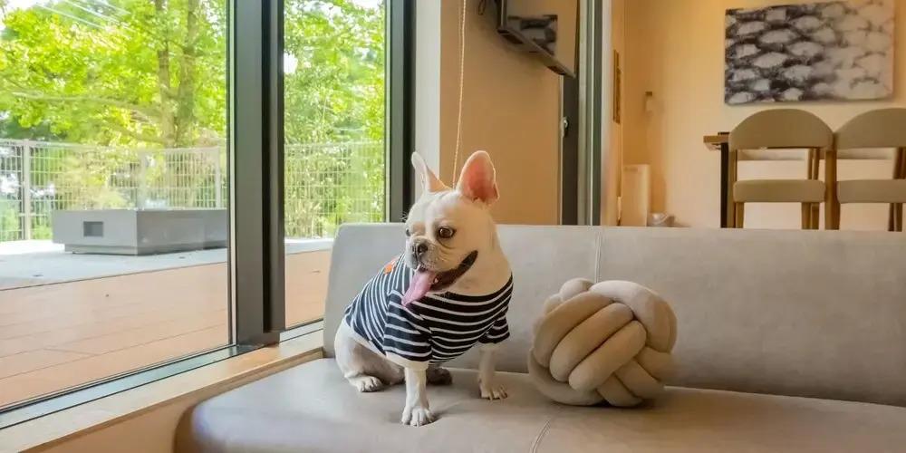 фото Rakuten STAY VILLA Aso Kurokawa