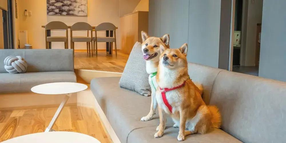 фото Rakuten STAY VILLA Aso Kurokawa