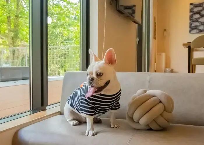 Rakuten STAY VILLA Aso Kurokawa