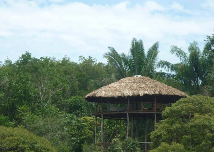 Amazon Tupana Jungle Lodge