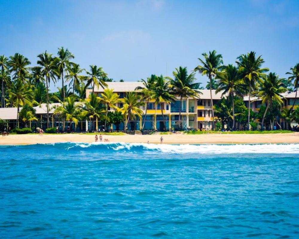 Resort Insight Resort