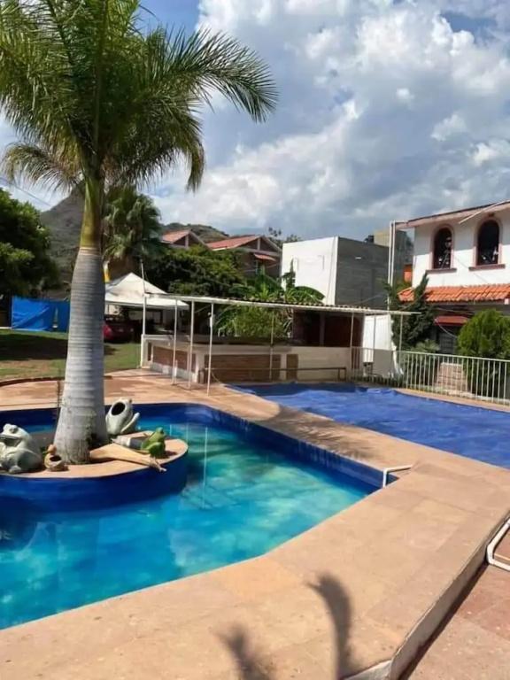 фото Hotel Colibri
