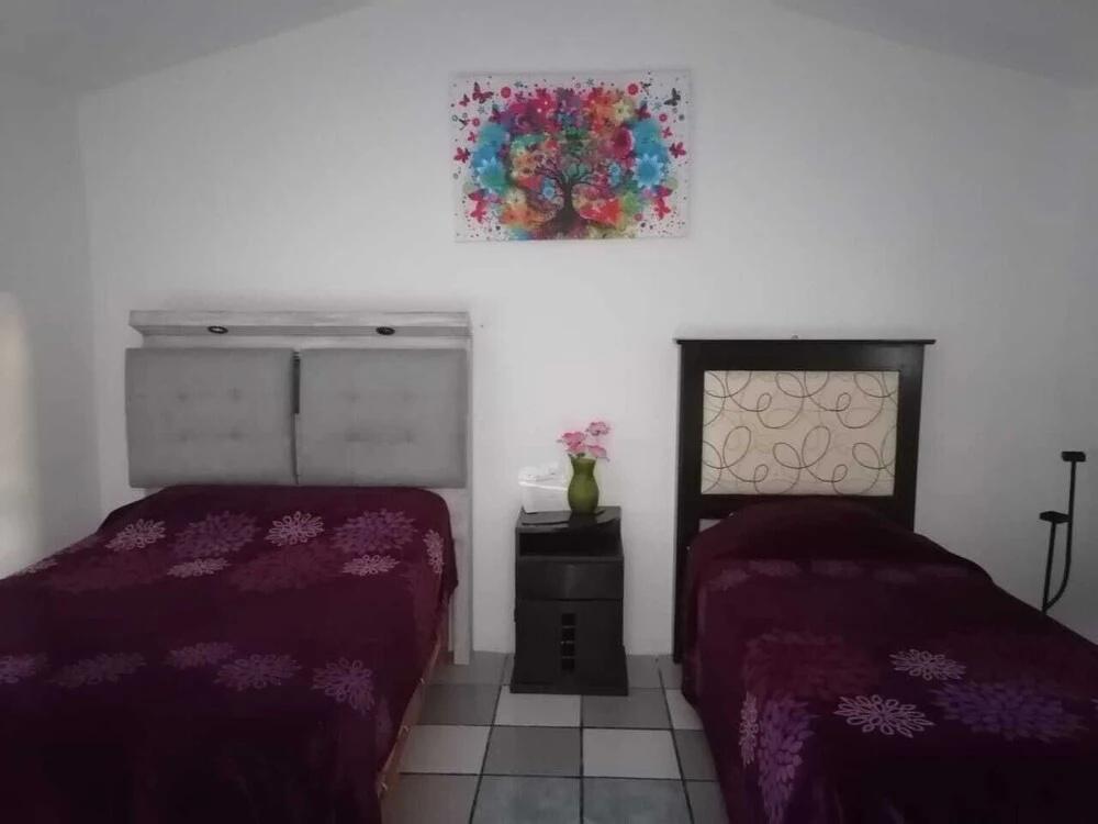 фото Hotel Colibri