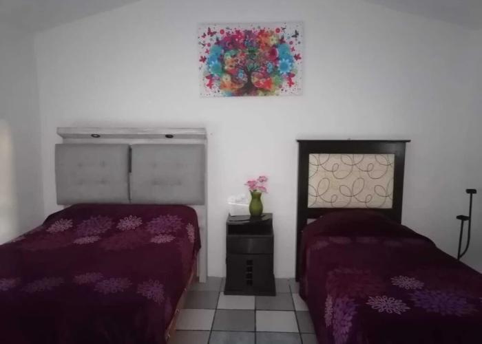 Hotel Colibri