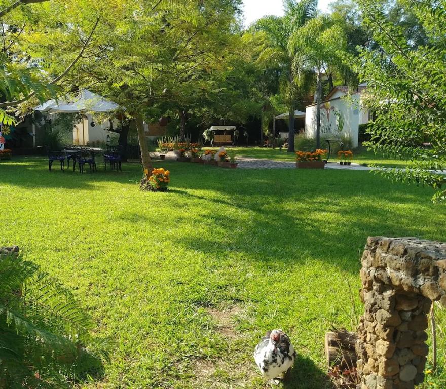 фото Paraje Real Malinalco